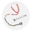 SBMI Lab logo