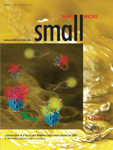 DNA nanotechnology — self-assembled nanostructures